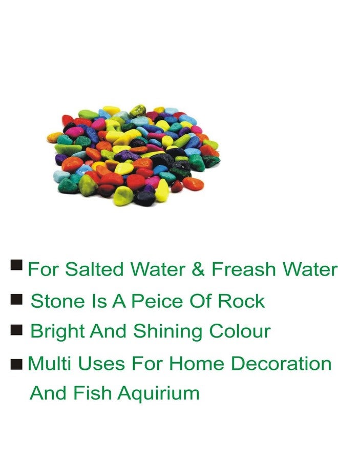 Afast Multicolor Pabbles/Stone for Garden, Plants, Aquarium & Home Decor, Marvels, Decoration, Fish Aquarium, Vase Filler, 0.5 KG -AAE1 - Image 3